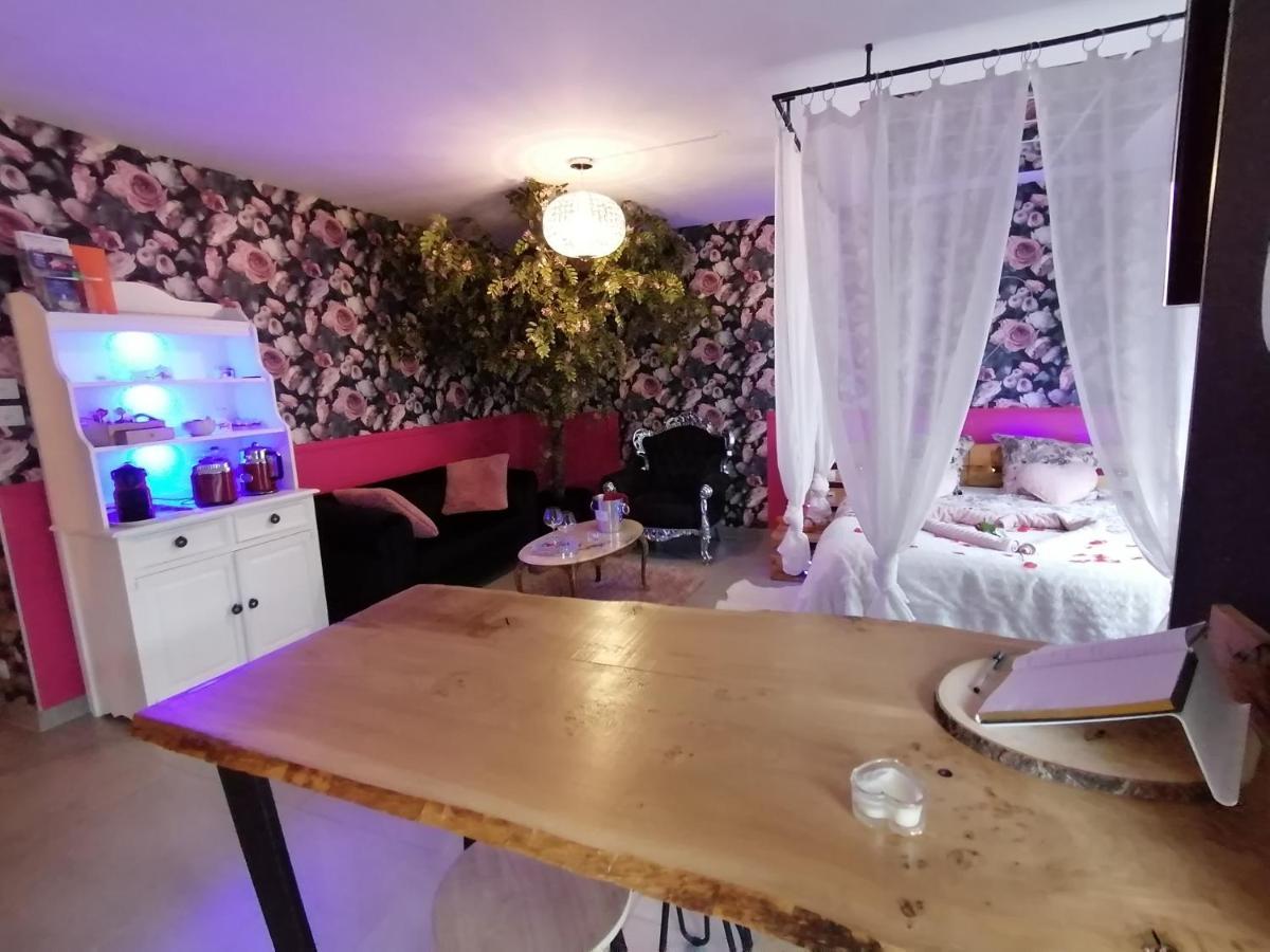Romantisme Et Glamour 2 Avec Spa , Clim Et Jardin 디종 외부 사진